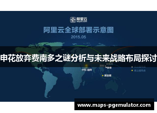 申花放弃费南多之谜分析与未来战略布局探讨