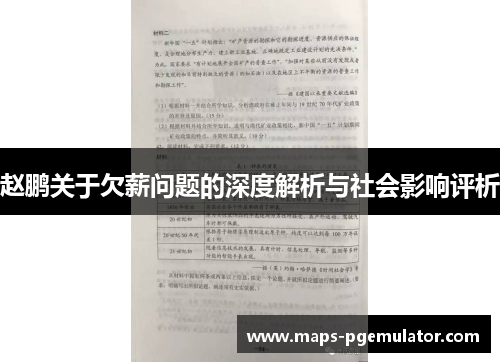 赵鹏关于欠薪问题的深度解析与社会影响评析
