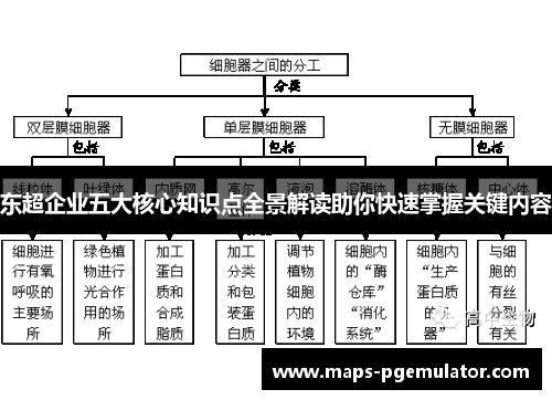 东超企业五大核心知识点全景解读助你快速掌握关键内容