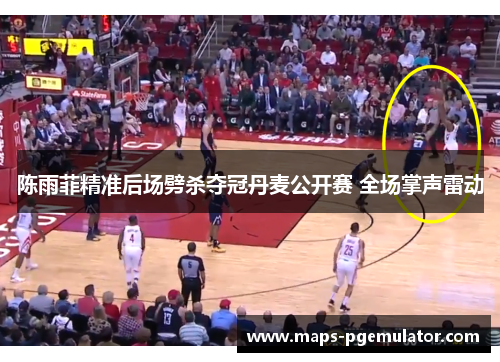 陈雨菲精准后场劈杀夺冠丹麦公开赛 全场掌声雷动