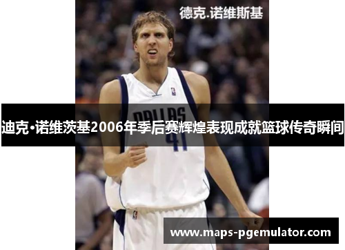 迪克·诺维茨基2006年季后赛辉煌表现成就篮球传奇瞬间